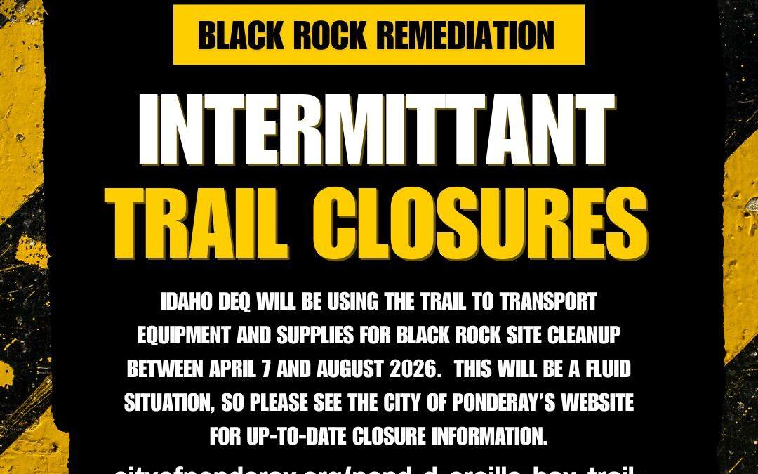 Black Rock Remediation